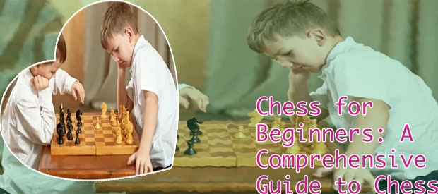 Playchess chess